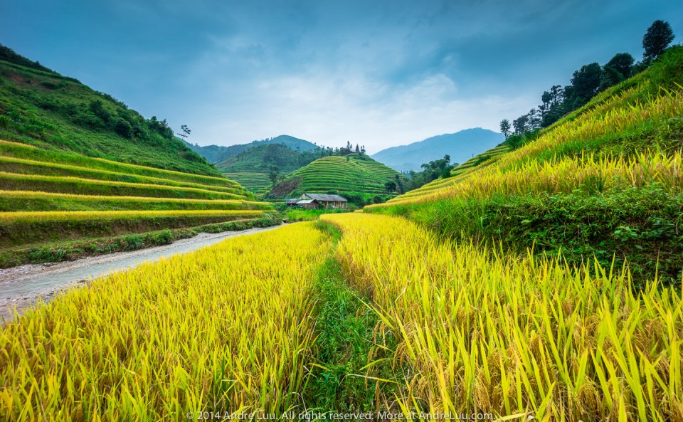 Tốc độ 1/25 giây, f/11, ISO 100, Custom WB 4700K, tiêu cự 15mm.  Sony A7R + Lens crop Sony 10-18mm.