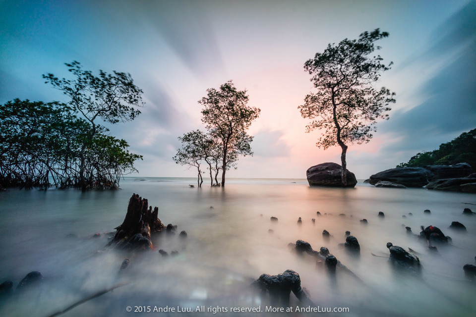  Tốc độ 60 giây ISO 50 f/11 WB 5000K. Sony A7R + Voigtlander 12 (mod by Andre Luu)