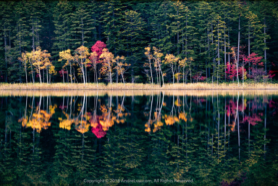 SÓNG NẮNG GƯƠNG THU (Waves of Autumn) 13s F/11 ISO 50 WB 6000K Sony a7r3 + Contax N 70-200 @150mm. GND 2H + ND6 + CPL0, AndreLuu Tripod. Hokkaido Japan.