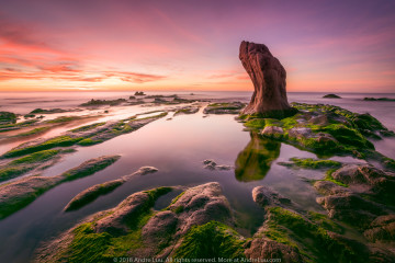 SOI BÓNG RÊU XANH (Sea Moss Pool) 30s f/8 ISO 64 
 WB 5900K. Sony a7r3 + Sony 16-35 f/2.8 GM @16mm. Gnd 2H. Cổ Thạch, Bình Thuận 5:52am.